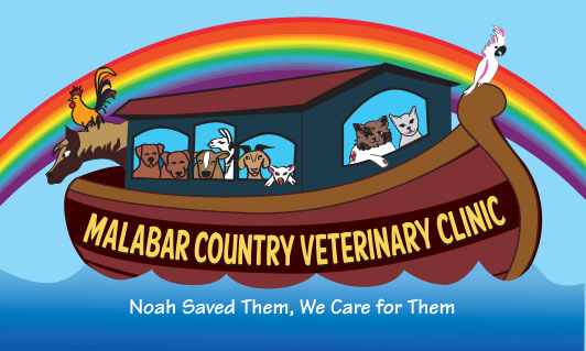 Veterinarians Palm Bay | Malabar Country Vet